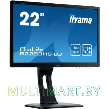 Монитор Iiyama ProLite B2283HS-B3 картинка 3